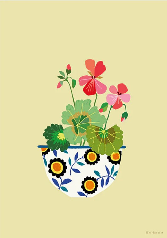 Pelargonium Art Print