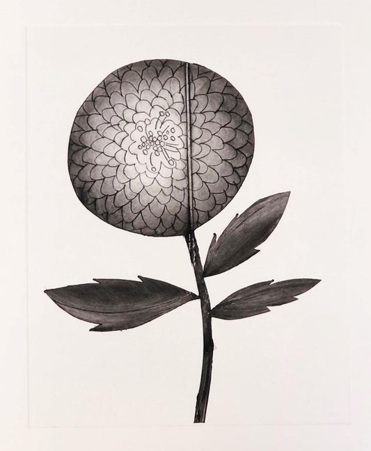 Dahlia Original Framed Print