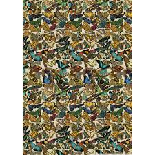 Butterfly Poster Wrap