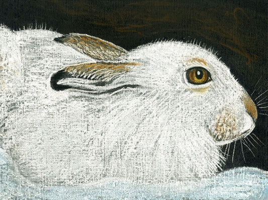 Mountain Hare in Winter Greetings Card