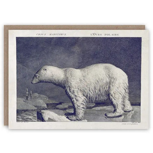 Polar Bear Greetings Card